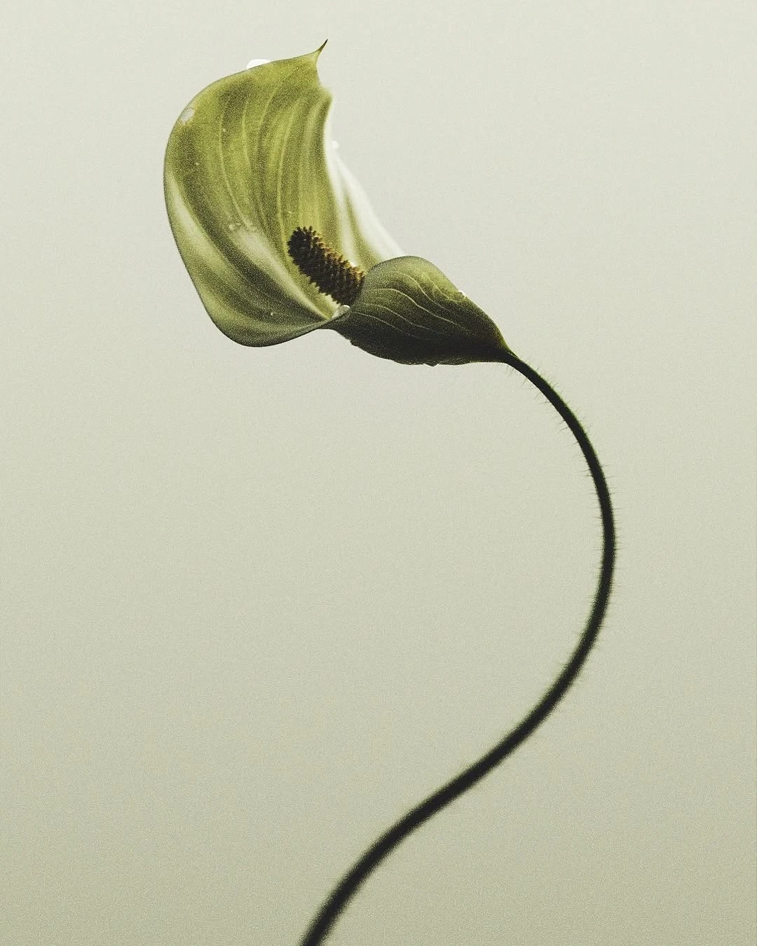 Interpretation of Forms