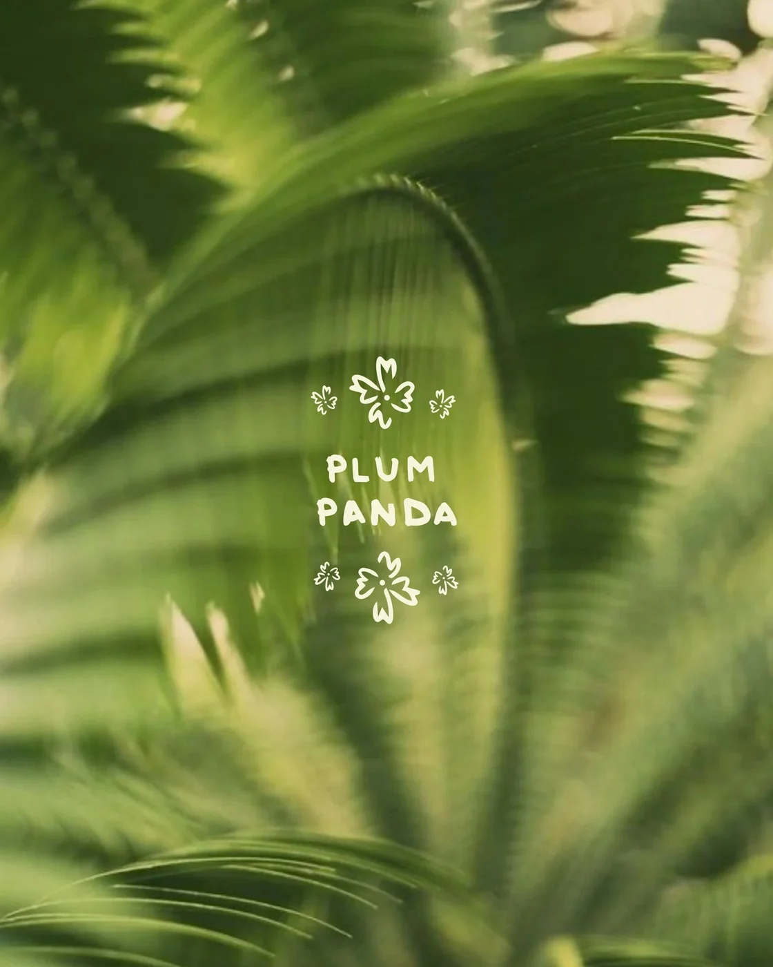 Plum Panda